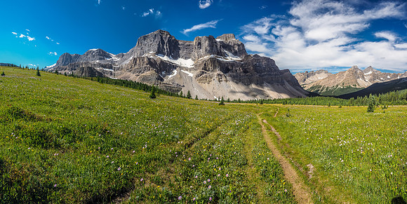 Acres of wildflowers in the alpine meadows.