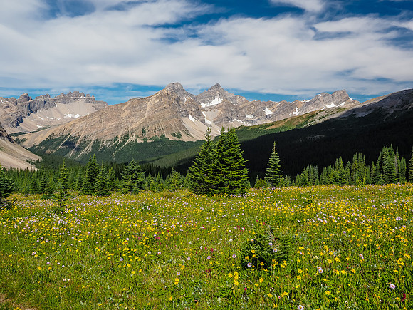 Views towards Dolomite (L), OXO (C) and Watermelon Peak.