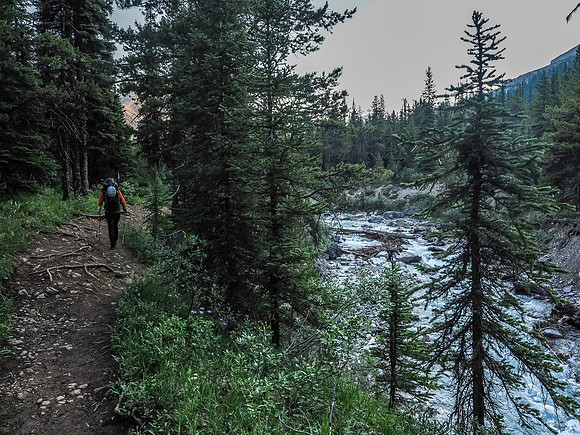 Hiking up the well used Mosquito Creek trail.