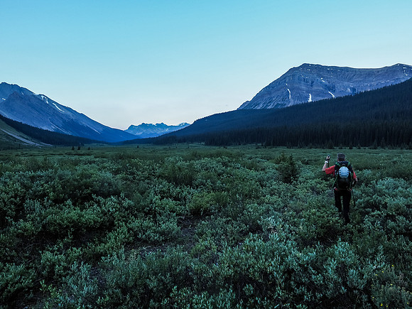 Recrossing the flats before Three Brothers Creek in distinctive blue early morning lighting.