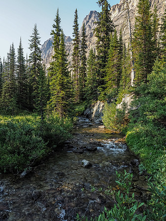 Crossing a much smaller Mosquito Creek high above the Mosquito Creek Campground.