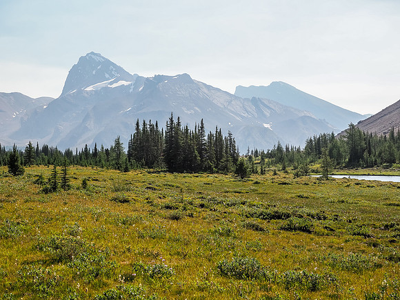 The view of Cataract (L) and Mount McConnell from the meadows around Fish Lakes.