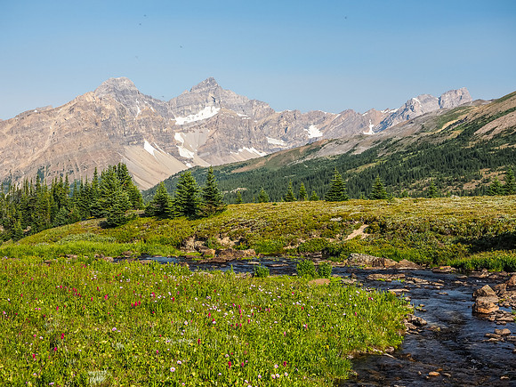 Mosquito Creek flows out of it's headwaters tarn in this view looking back towards OXO Mountain.
