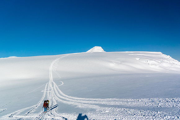 Looking back at our ski tracks descending the trench with Mount Columbia peeking over the edge.