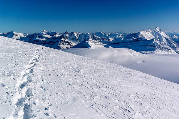 A last glance back as we leave the summit - Castleguard at center foreground.