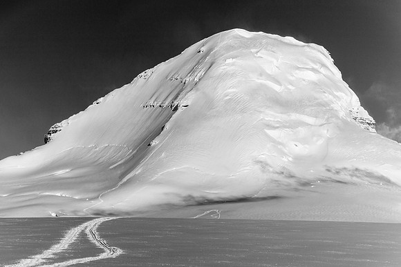 Tele shot from camp the next morning, showing our tracks up the east face of Mount Columbia.