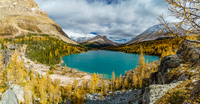 Beautiful view of Myosotis Lake from near Zigadenus Lake.