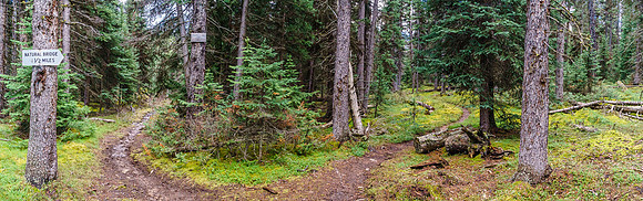 I really wanted to check out the "natural bridge" feature off the main trail to the right, but two things dissuaded us.