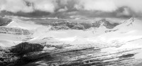 Cyclone on the left with Balfour in the center and Hector on the right.