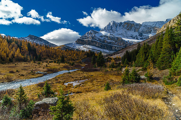 As the trail starts following Skoki Creek towards Myosotis Lake the scenery gets very dramatic with Packer's Pass Peak on the left and Ptarmigan on the right.