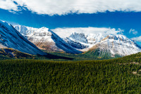 From L to R, Oyster Peak, Ptarmigan, Pika and Skoki.