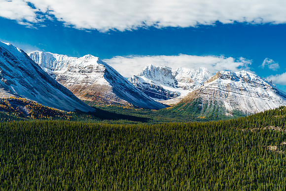 From L to R, Oyster Peak, Ptarmigan, Pika and Skoki.