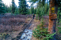 Phil blissfully walks right past the (obvious!) sign indicating that he's now off the hiking trail.