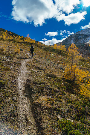 Ascending to Packers Pass.