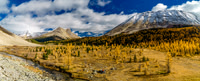 This is a magical spot - it was hard not to simply lie down and take a long nap here in the larch meadow