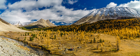 This is a magical spot - it was hard not to simply lie down and take a long nap here in the larch meadow