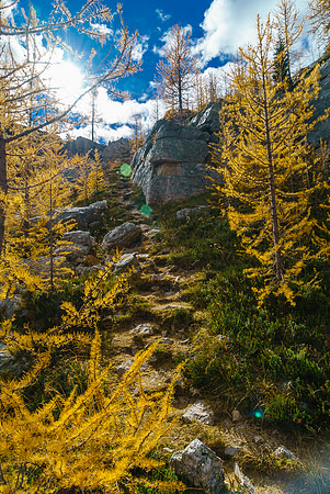 The cool staircase trail up to Zigadenus Lake from Myosotis Lake
