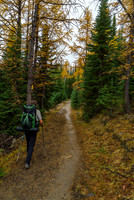 The trail starts out pretty good to Boulder Pass.
