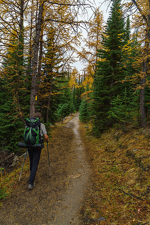 The trail starts out pretty good to Boulder Pass.