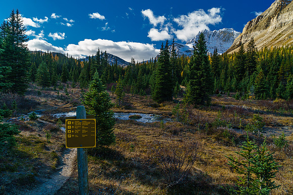 There really is no excuse to get lost out here!