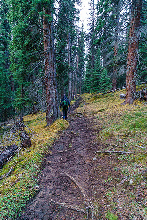 Yep! The horses TRASHED the trail.