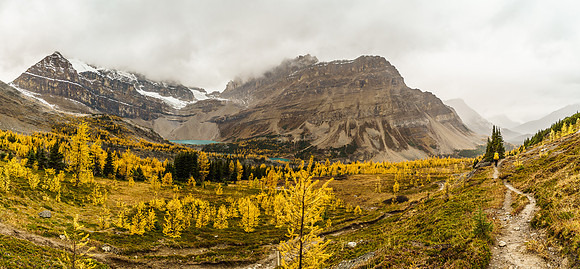 Both Zigadenus and Myosotis Lakes are visible from the trail descending Deception Pass. The larches were brilliant, unfortunately the weather was not.