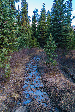 The horse mangled trail is at least frozen so we can mostly walk on top of the mucky mess.