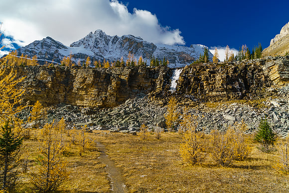 This is a magical spot - it was hard not to simply lie down and take a long nap here in the larch meadow