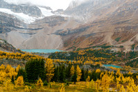 Brilliant fall color around Zigadenus and Myosotis Lakes - we returned via these lakes but the larches were already half done only 1.5 days later thanks to frost and wind!