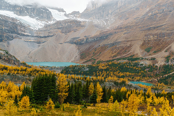 Brilliant fall color around Zigadenus and Myosotis Lakes - we returned via these lakes but the larches were already half done only 1.5 days later thanks to frost and wind!