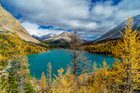 Beautiful view of Myosotis Lake from near Zigadenus Lake.