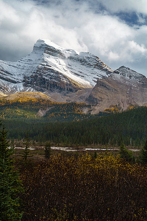 Near Drummond Creek, this is the only 'bushwhacking' we had to do.
