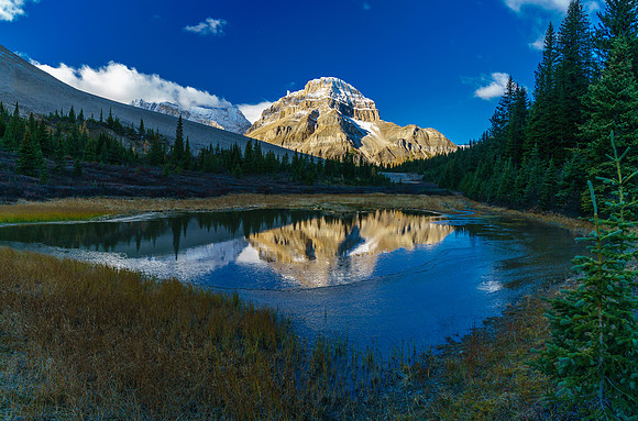 Silver Tip (Wall of Jericho) reflects in a small pond along the trail between Fossil and Skoki peaks.