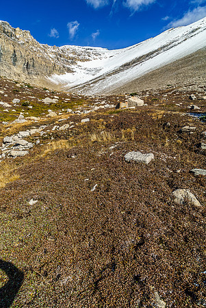 This is the gully to the false summit. It's much, much longer than you'd think both in person and by looking at this photo