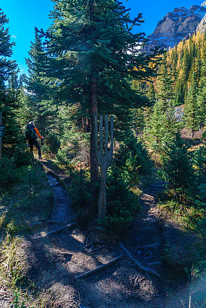 The literal "fork" in the trail... Groan.