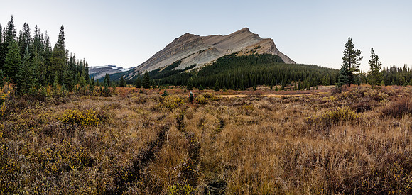 Mount Drummond comes into full view near Shingle Flats.