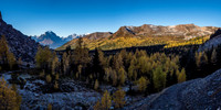 Looking back at the larch display under Boulder Pass - Mount Temple at distant left.