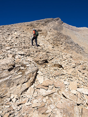 Ledges and fairly 'solid' scree assist in an efficient ascent of the mountain's south aspect. The false summit looms above us here.