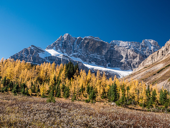 Glancing back at the impressive north faces of Ptarmigan (L) and Pika (R) mountains.