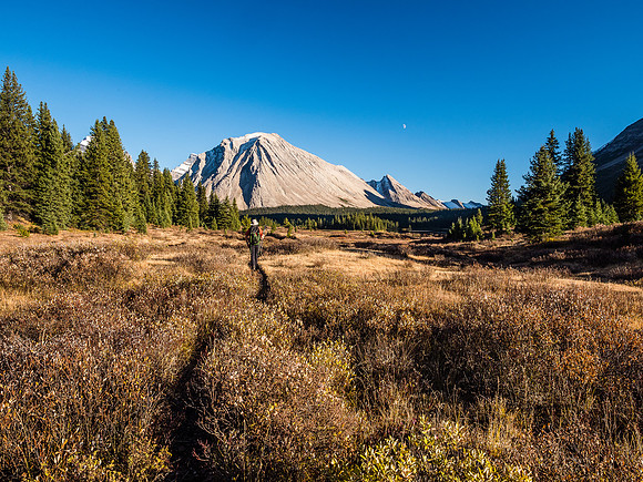 Back on the Little Pipestone trail. The moon rising at center right over Tilted Mountain.