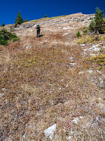 Starting the grunt above treeline to the false summit.