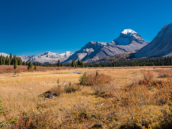 Mount Douglas rises impressively over the Red Deer Lake meadows.