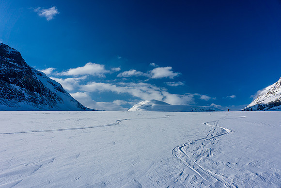 A rare section of the Saskatchewan Glacier that was steep enough to do turns on!