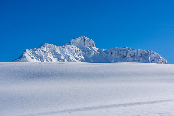 Castleguard Mountain.