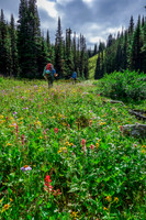 After the fifth lake we went through carpets of wild flowers to reach the alpine meadows beyond.