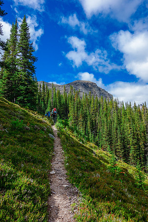 Back on an obvious trail now - heading into the alpine meadow section.