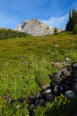 Shadows grow long as we make our way beneath the north face of Fryatt. We've been on the move for 15 hours at this point.