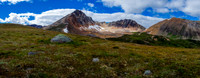 The alpine meadows are a magical place.