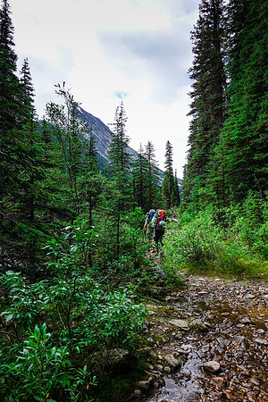 A wet trail to the first lake.