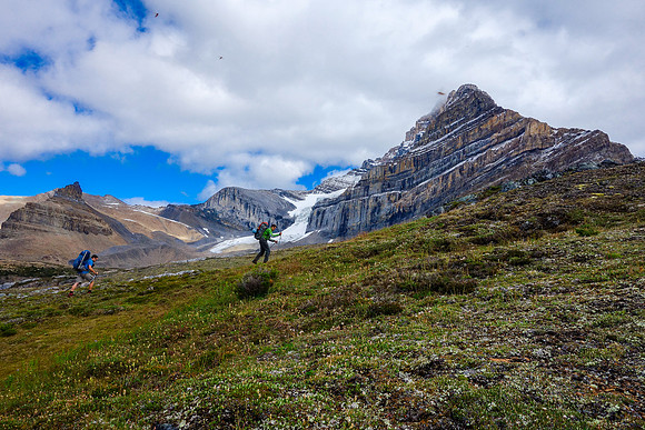 How many bugs do you count? :) Gorgeous alpine meadows and great views of Fryatt - note the north glacier.